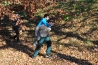 DSC_4996.JPG