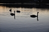 DSC_5049.JPG