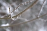 DSC_5223.jpg