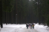 IMG_20190303_220851.jpg