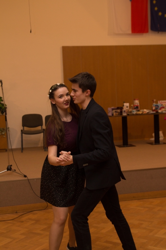 Klikněte pro zobrazení původního (velkého) obrázku