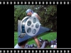 karel_aktivity.flv