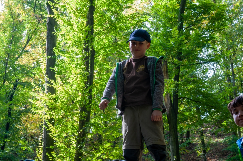 Klikněte pro zobrazení původního (velkého) obrázku