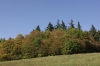 IMGP3944.JPG