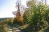 IMGP3955.JPG