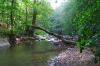 039-vylet_vlcat-2011-09-17.jpg