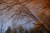IMGP4632.JPG
