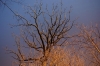 IMGP4647.JPG