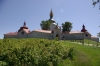 IMGP9572.JPG